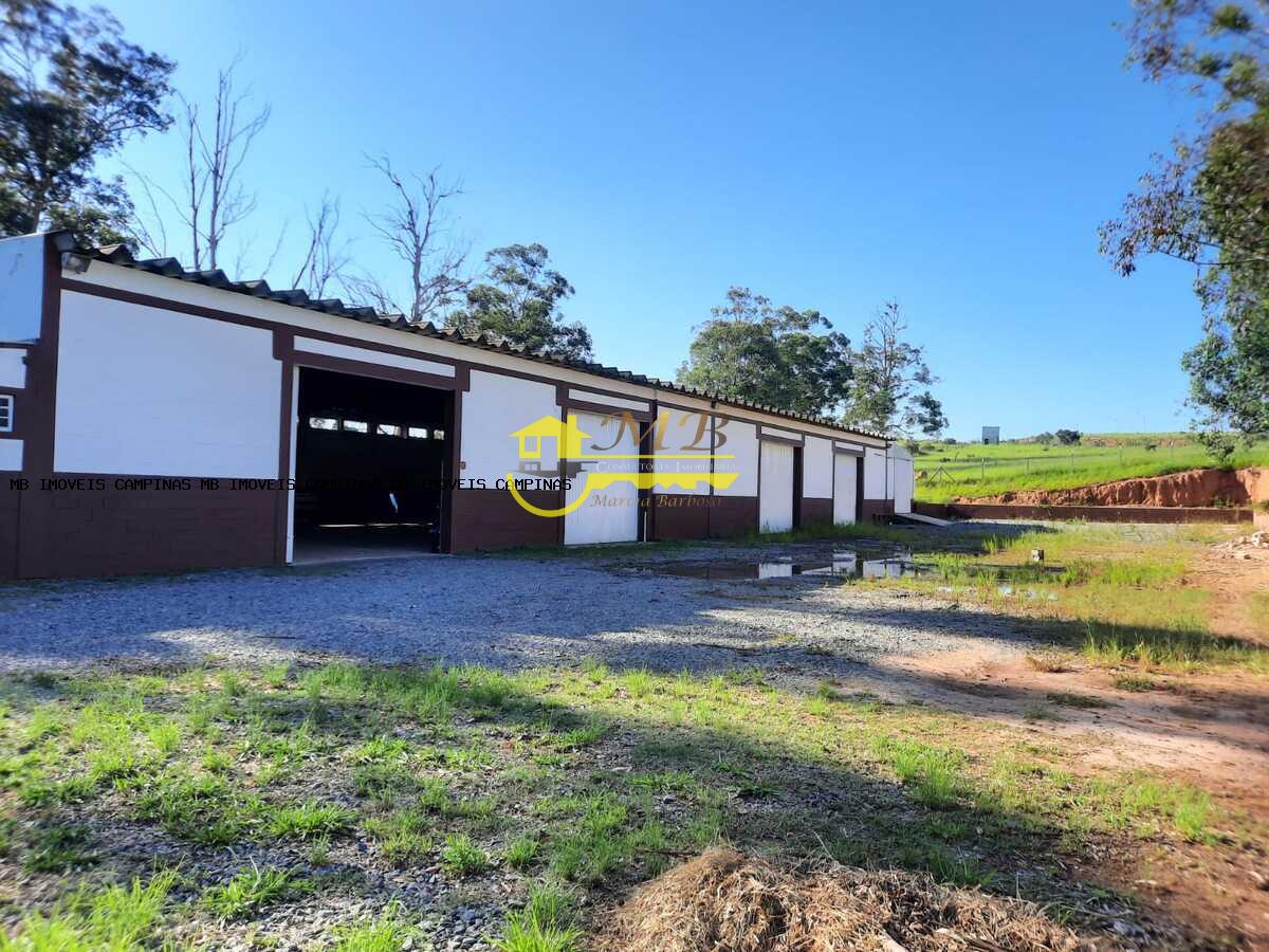 Prédio Inteiro, 2500 m² - Foto 12