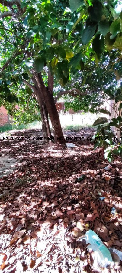 Terreno, 300 m² - Foto 4