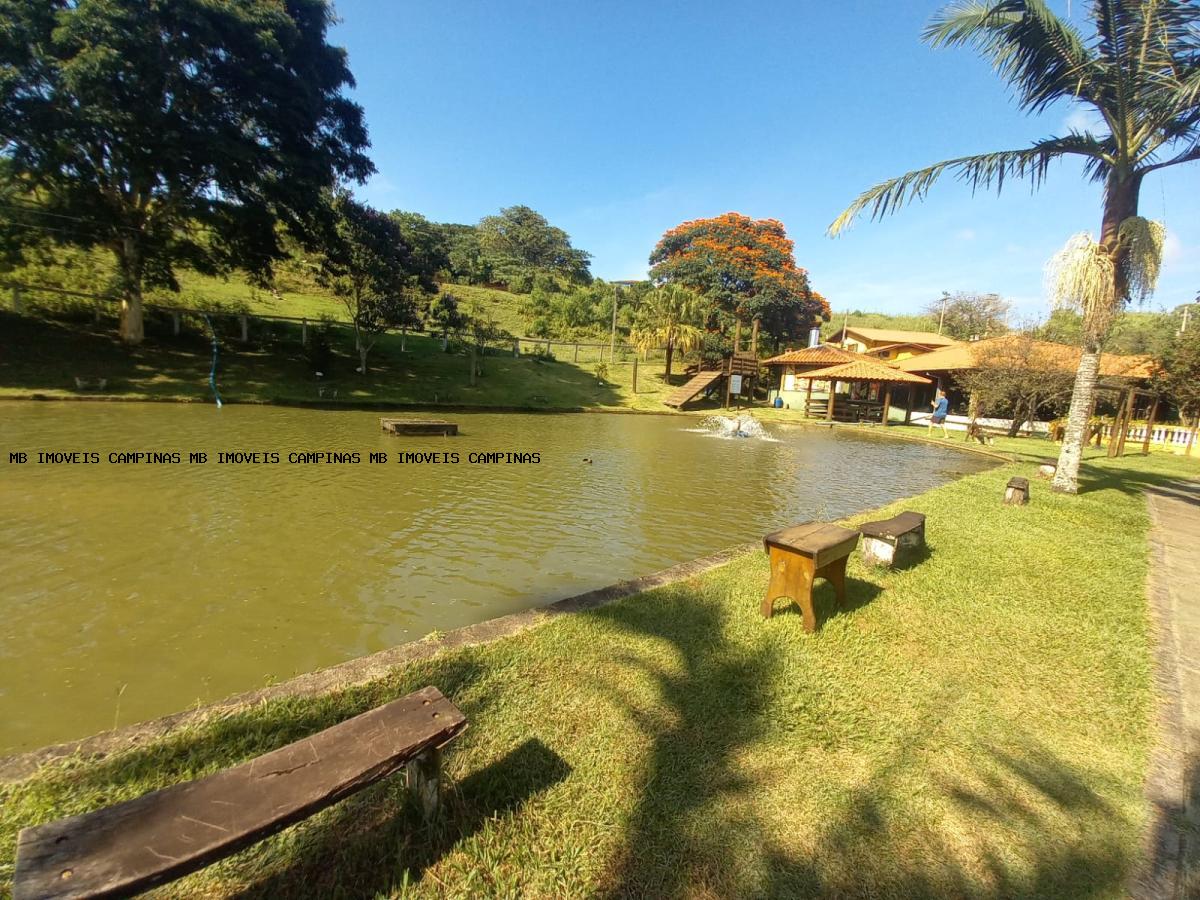 Fazenda-Sítio-Chácara - Foto 4
