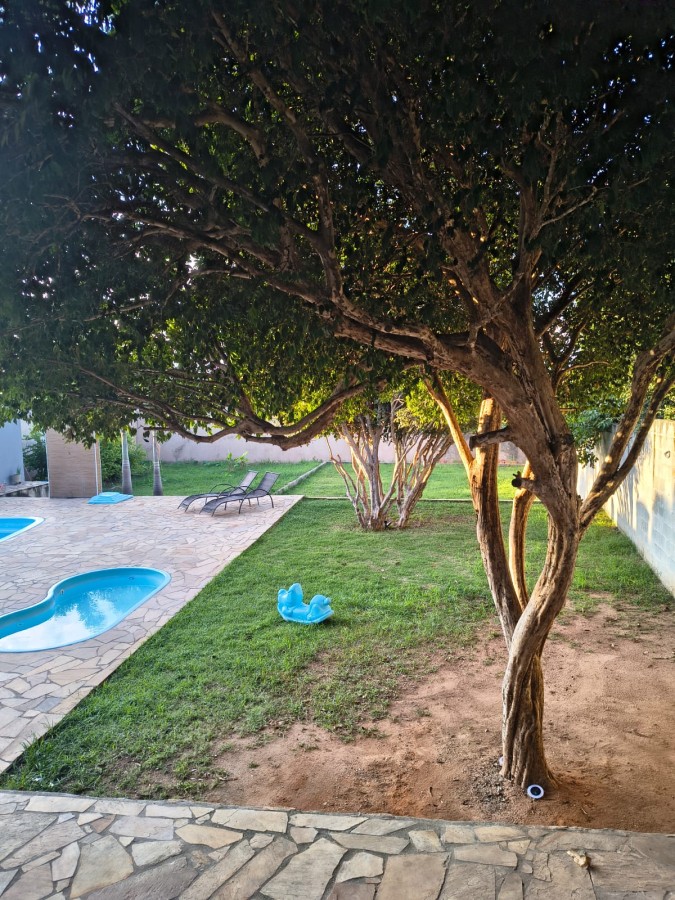 Chácara para alugar com 2 quartos, 1000m² - Foto 6